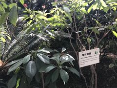 -汤山翠谷生态餐厅