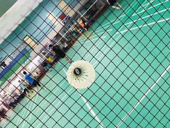 -上海博宽羽毛球馆(双桥路分部)