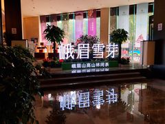 -成都峨眉雪芽大酒店