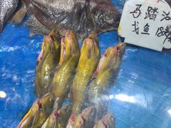 -纪林菜馆·博山菜老字号(华光路店)