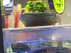 -SEA西雅图海鲜自助餐厅(海乐世界店)