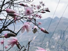 -九皇山景区