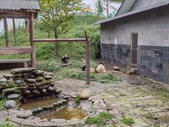 -碧峰峡风景区