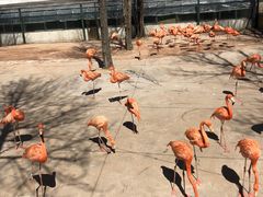 -鄂尔多斯野生动物园