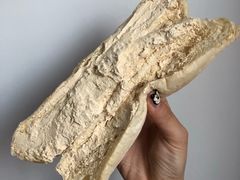 -福来天(威高广场店)