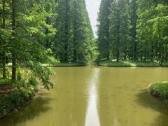 -黄海国家森林公园