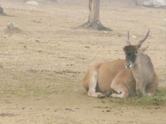 景点-西安秦岭野生动物园