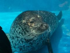 -成都浩海立方海洋公园