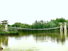 -东湖落雁景区