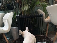 -小时光咖啡馆(北锣鼓巷店)