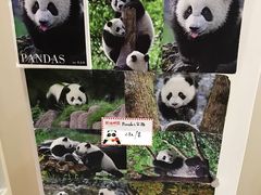 -熊猫邮局(少城店)