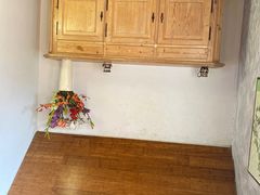 -金山农民画村-枫泾波兰倒置屋