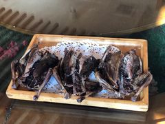 -食家鸽园