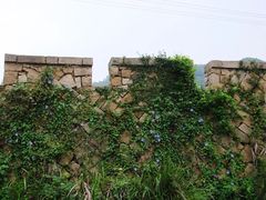 -大京沙滩