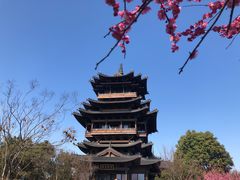 -杭州半山国家森林公园