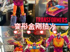 -TOYSRUS玩具反斗城(武汉荟聚中心店)
