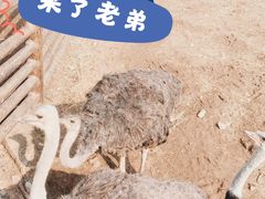 -太原动物园