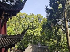 -凤栖山