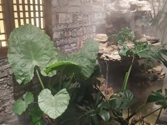 景观位-茶理宜世(京溪店)