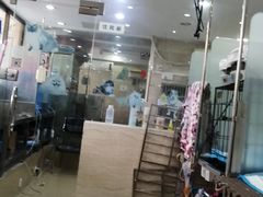 -瑞派天使宠物医院·神经外科·骨科·核磁(洛川中路店)