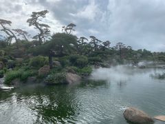 -罗红摄影艺术馆