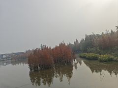 -白鹭湾湿地公园