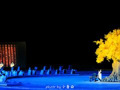 -鼎盛王朝康熙大典实景演出