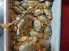 -芦潮港集贸市场