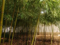 -松江清真寺