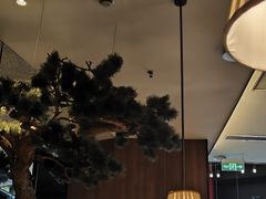 -新白鹿餐厅(松江开元地中海店)