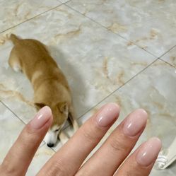 -U3美甲