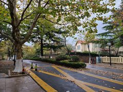 -八大关景区