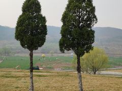 -大连铭湖国际观光牧场