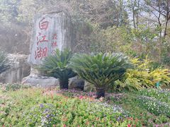 -广州白江湖森林公园