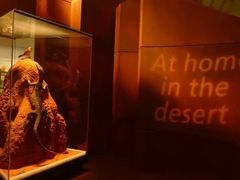 -墨尔本博物馆(Melbourne Museum)