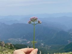 -白草畔自然风景区