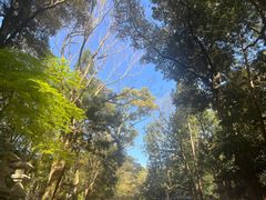 -奈良公园