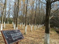 -白马涧龙池景区