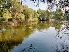 -长白岛森林公园