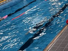 -硅谷蒙学幼儿园