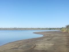 -呼兰河口湿地公园