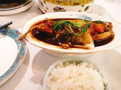 红烧河豚-肆月河豚·新淮扬(金融街店)