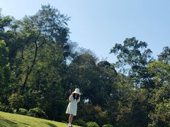 -广西壮族自治区药用植物园