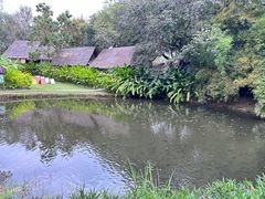 -大象粑粑造纸公园