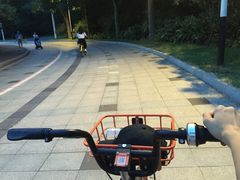 -东莞植物园