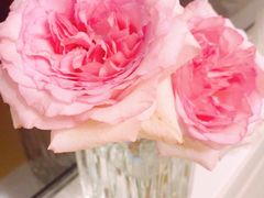 -星巴克臻选(北京赛特奥特莱斯店)