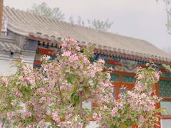 -海棠花溪(元大都城垣遗址公园)