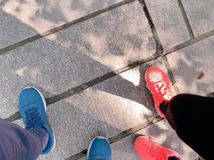 -上海佘山国家森林公园西佘山园