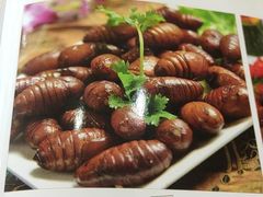 -东北食府·铁锅炖(花溪湾店)