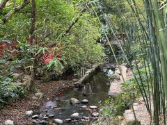 -深圳仙湖植物园